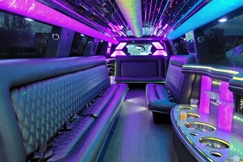 Naperville Limo Interior